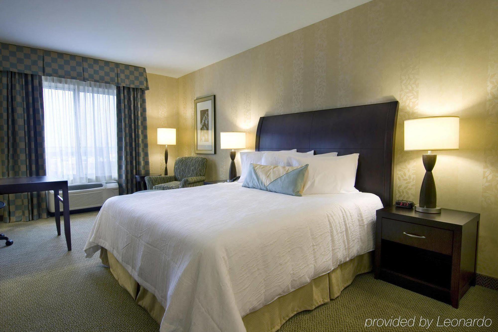 Hilton Garden Inn Detroit/Novi Kamer foto